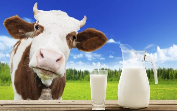 Người bị trào ngược dạ dày không nên dùng các loại sữa có tiền sử bị dị ứng