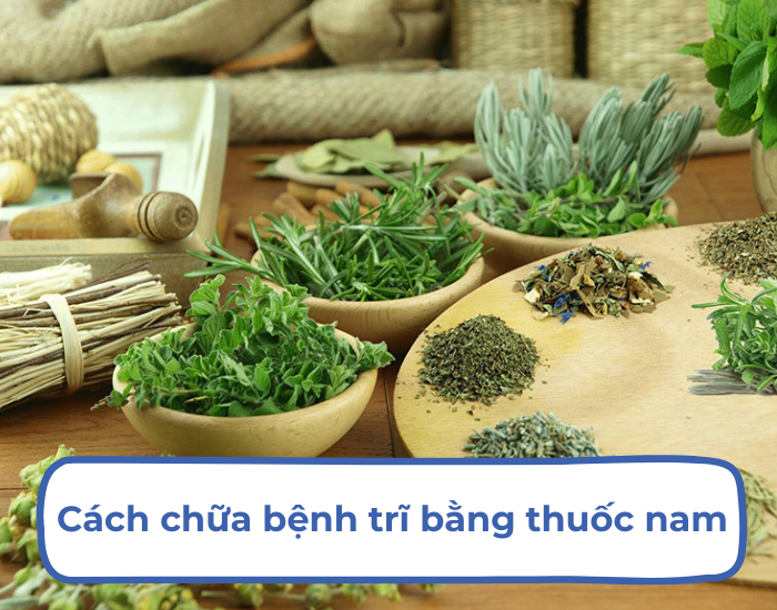 Chữa bệnh trĩ bằng thuốc nam phù hợp với bệnh ở giai đoạn nhẹ